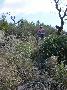 gal/Saison VTT 2008/Le_VC_Hettange_au_Roc_Azur_2008/_thb_DSC09169.JPG